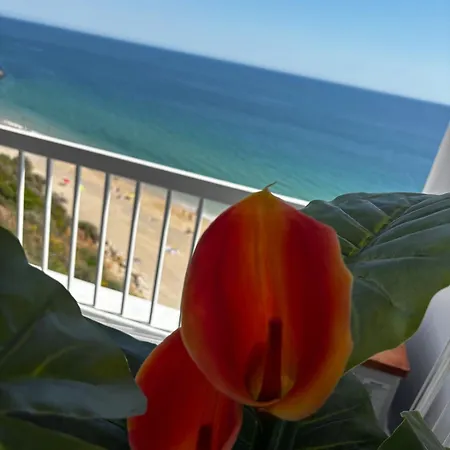 דירה New - Luxury Beach Front *
